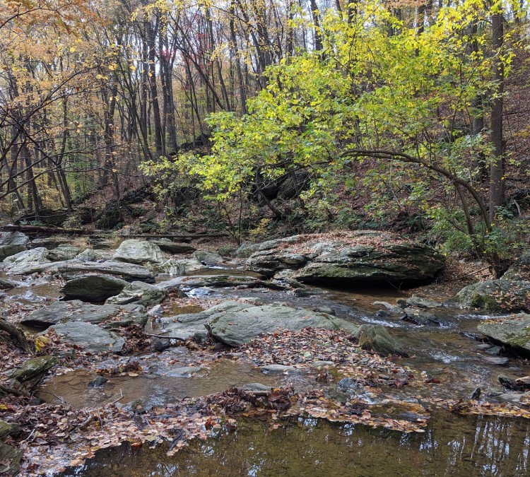 Theodore A. Parker III Natural Area (Quarryville,&nbspPA)